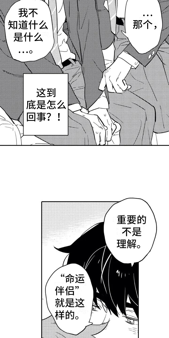 《蜜毒》漫画最新章节第1章：归属免费下拉式在线观看章节第【5】张图片