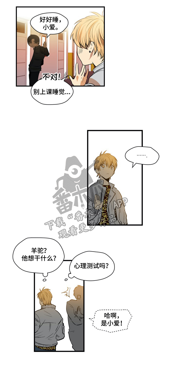 《小桃与小爱》漫画最新章节第16章：羊驼免费下拉式在线观看章节第【2】张图片