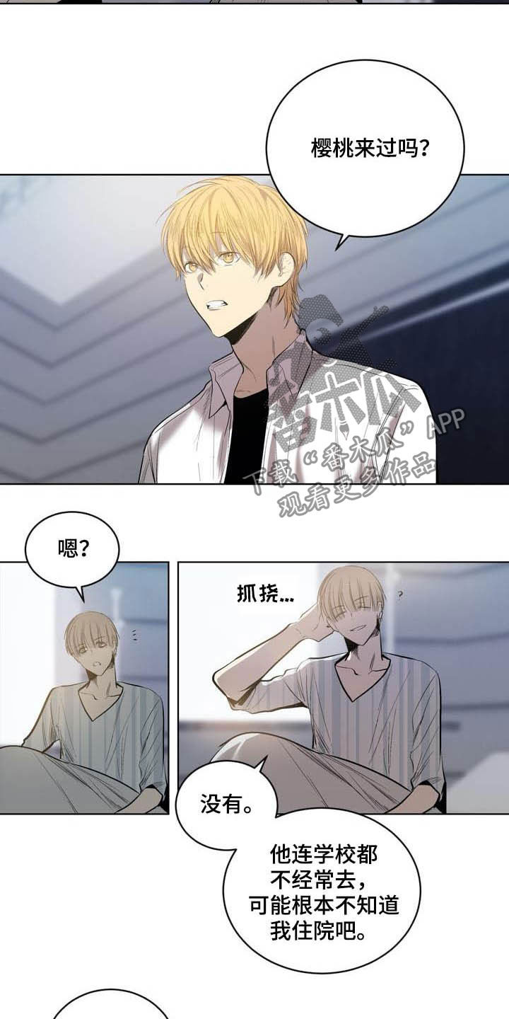 《小桃与小爱》漫画最新章节第89章：【第二季】尊敬的大哥免费下拉式在线观看章节第【13】张图片