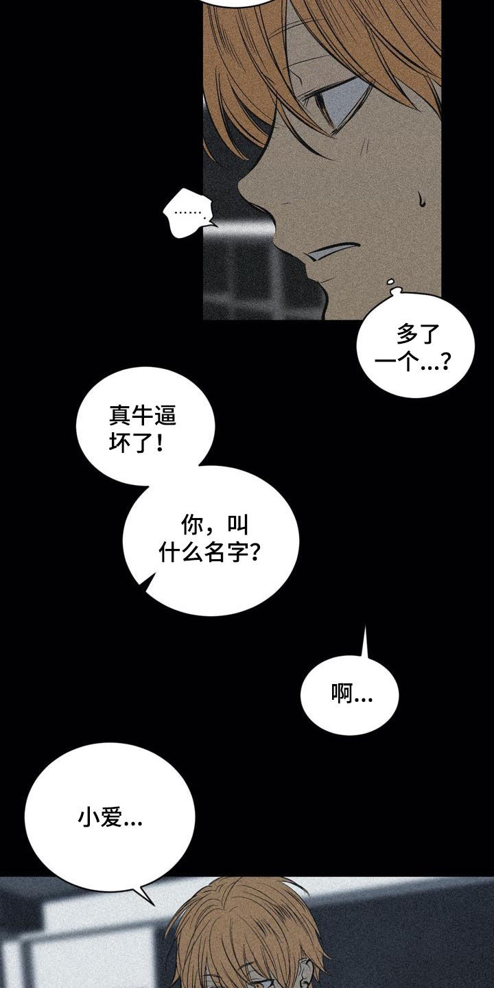 小桃与小爱-第102章：【第二季】权利关系全彩韩漫标签