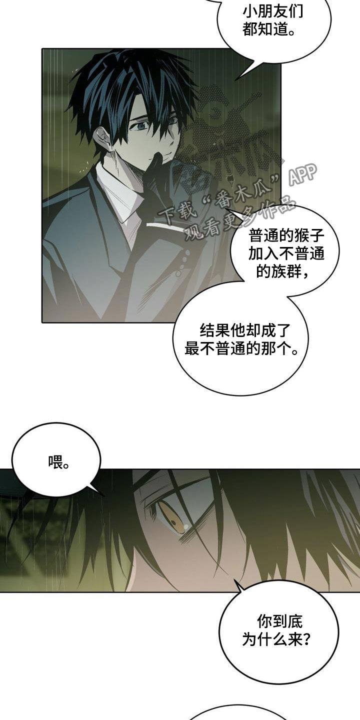 《小桃与小爱》漫画最新章节第106章：【第二季】猴子的故事免费下拉式在线观看章节第【17】张图片