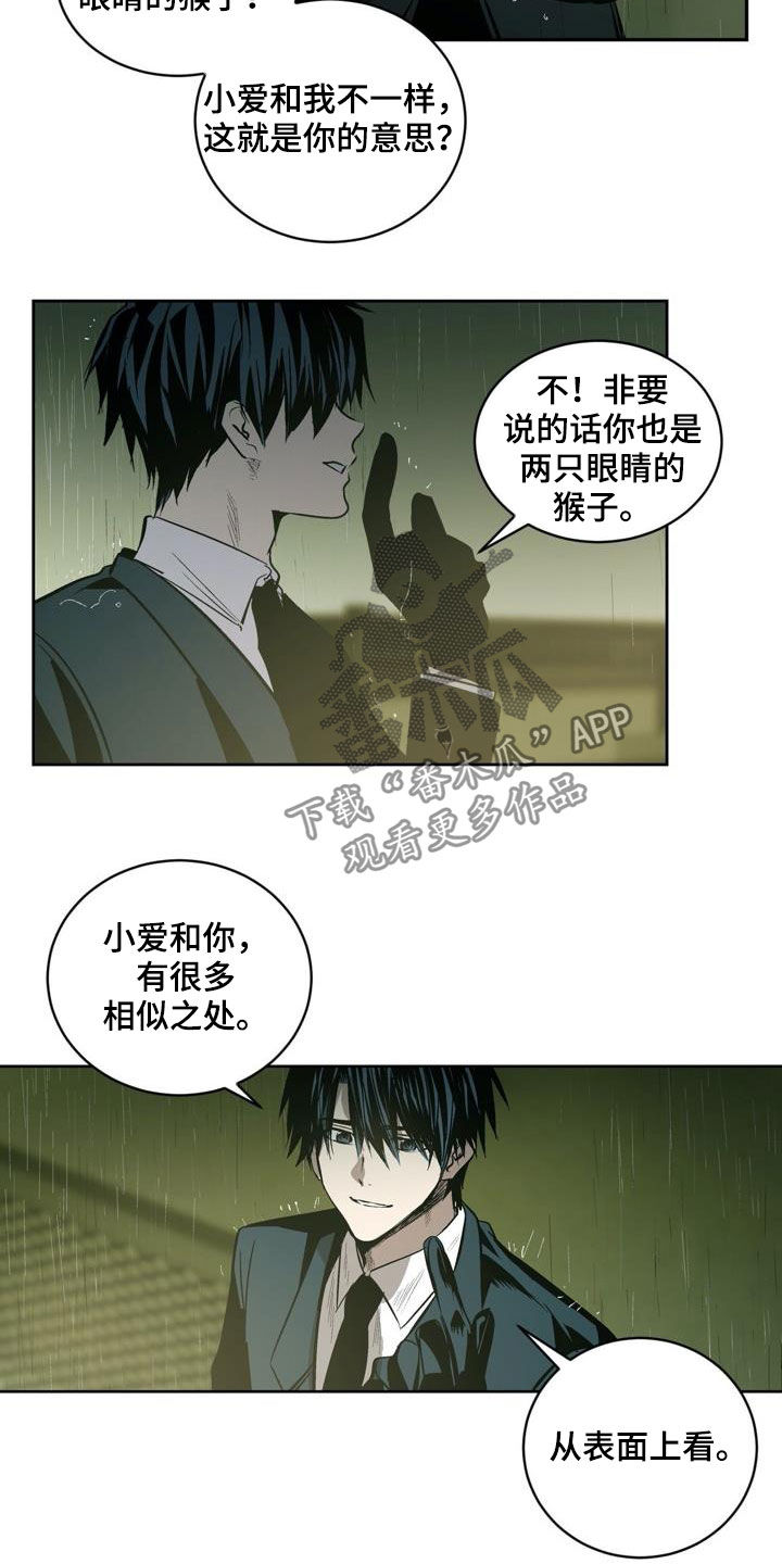 《小桃与小爱》漫画最新章节第106章：【第二季】猴子的故事免费下拉式在线观看章节第【15】张图片