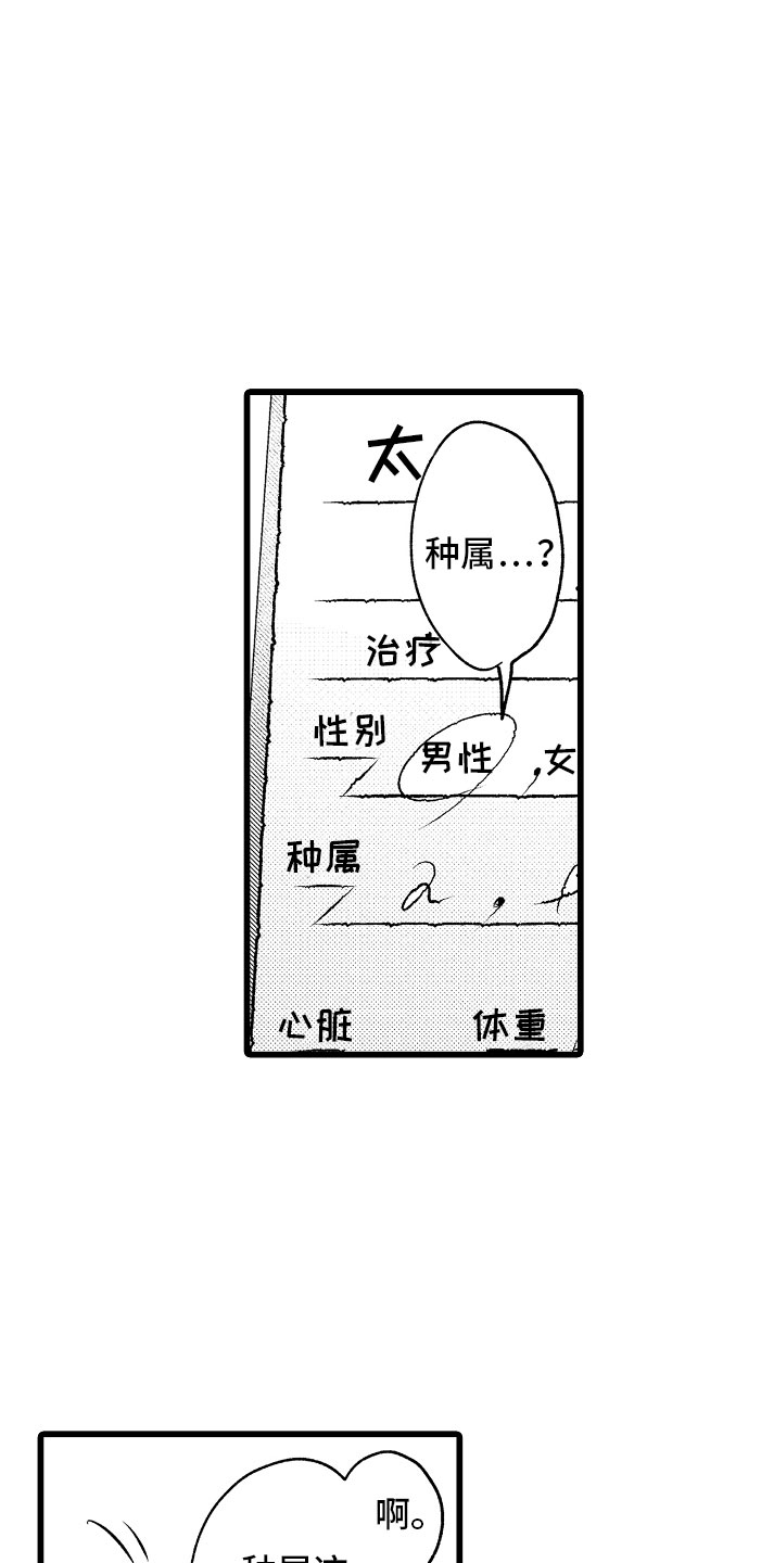 《变身欧米伽》漫画最新章节第4章：种属免费下拉式在线观看章节第【6】张图片