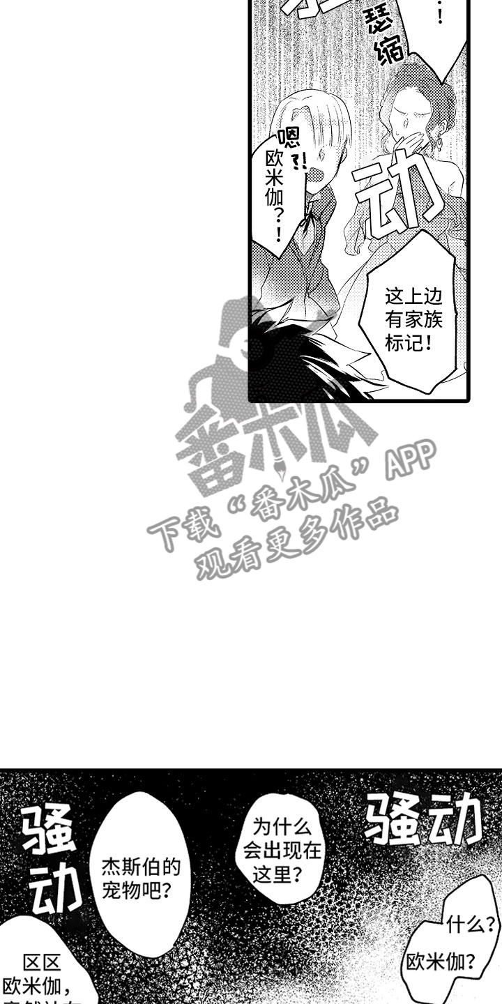 《变身欧米伽》漫画最新章节第20章：结婚宣言免费下拉式在线观看章节第【13】张图片