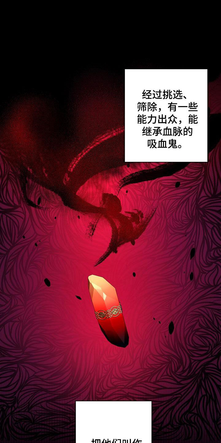 《永夜无眠》漫画最新章节第38章：出现问题了免费下拉式在线观看章节第【17】张图片