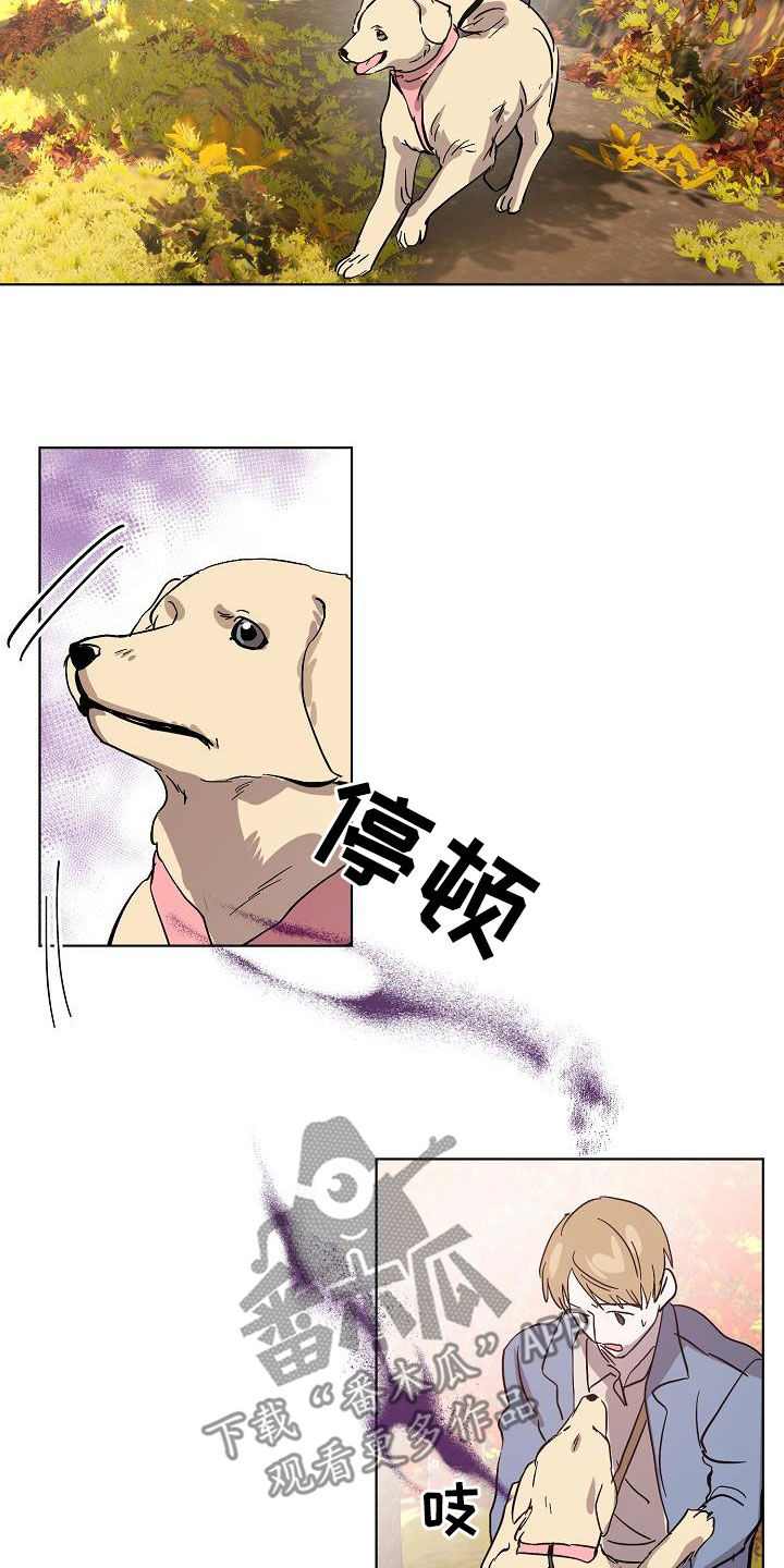 《永夜无眠》漫画最新章节第40章：大胆免费下拉式在线观看章节第【15】张图片