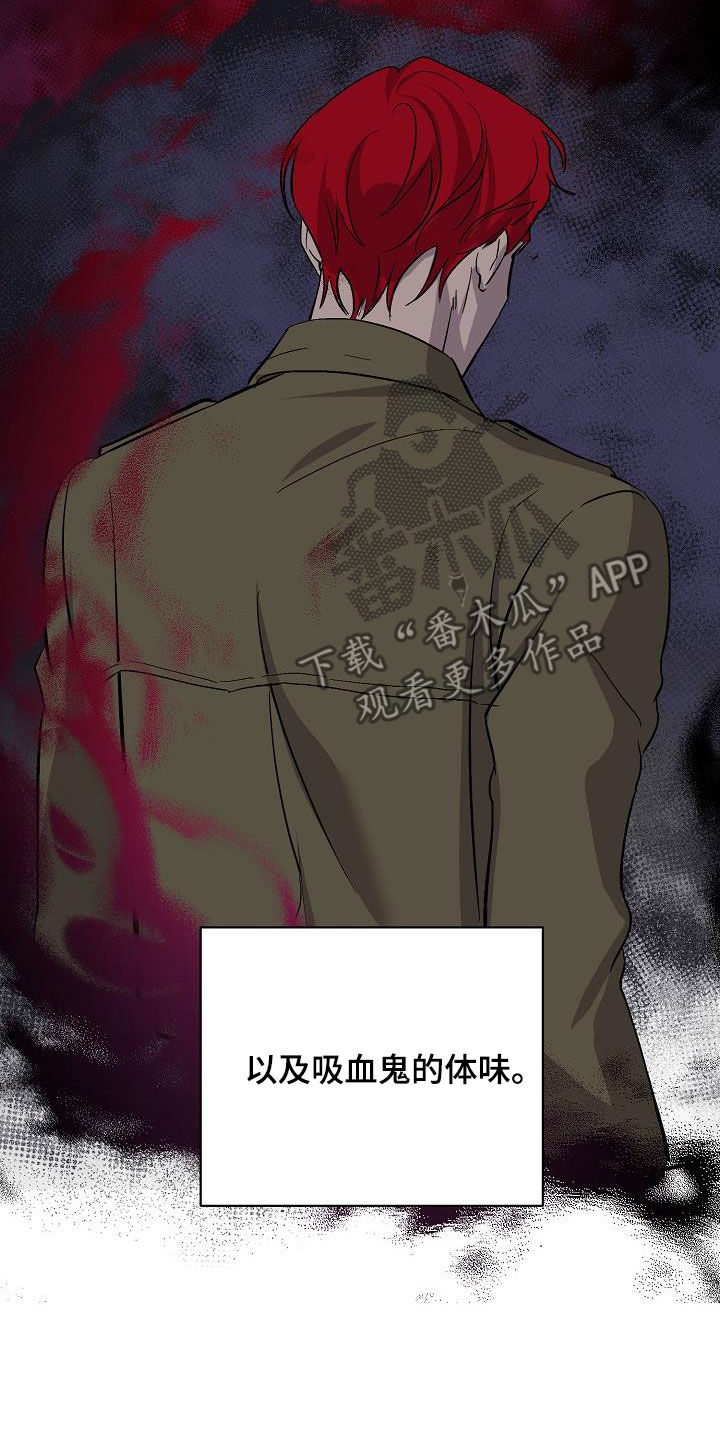 《永夜无眠》漫画最新章节第45章：调查免费下拉式在线观看章节第【19】张图片