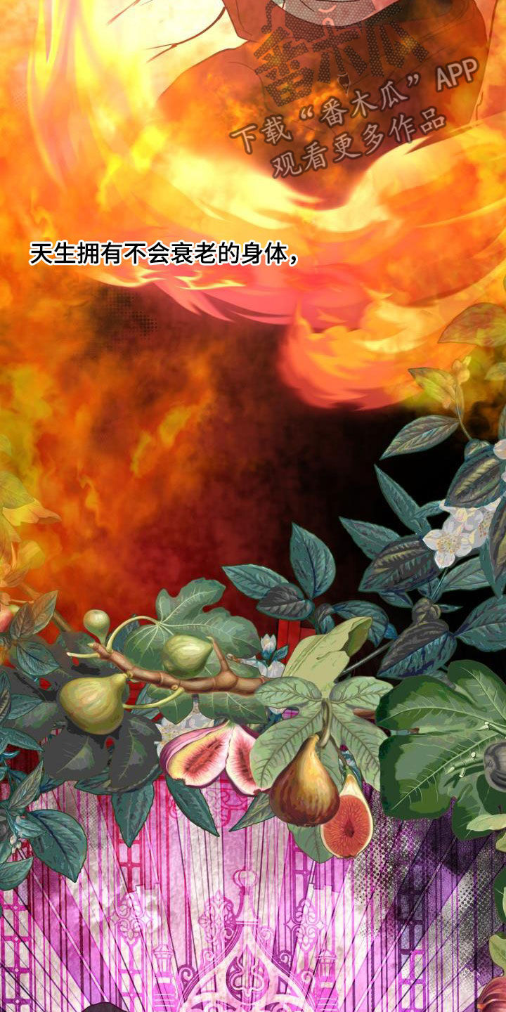 《永夜无眠》漫画最新章节第62章：【第二季】永生不死免费下拉式在线观看章节第【3】张图片