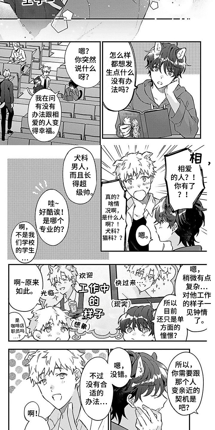 《猫会梦见王子吗》漫画最新章节第1章：应聘免费下拉式在线观看章节第【3】张图片