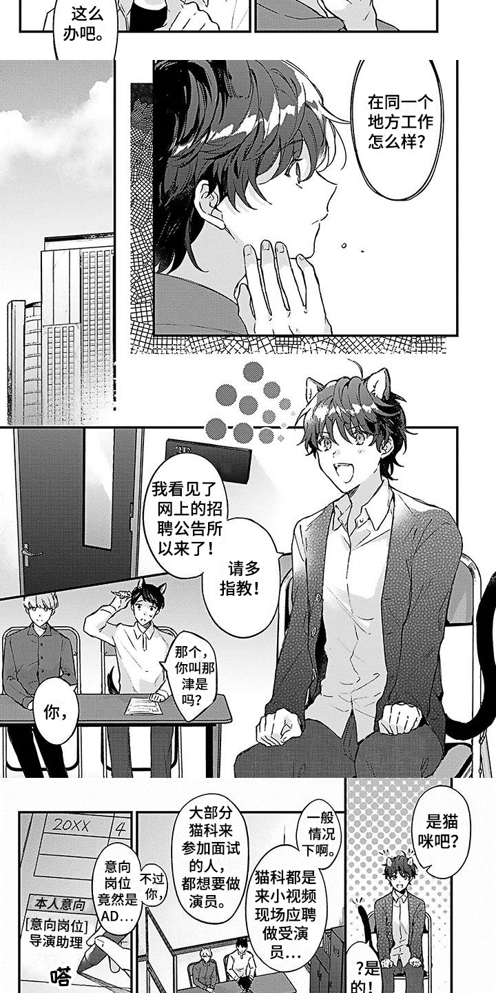 《猫会梦见王子吗》漫画最新章节第1章：应聘免费下拉式在线观看章节第【2】张图片