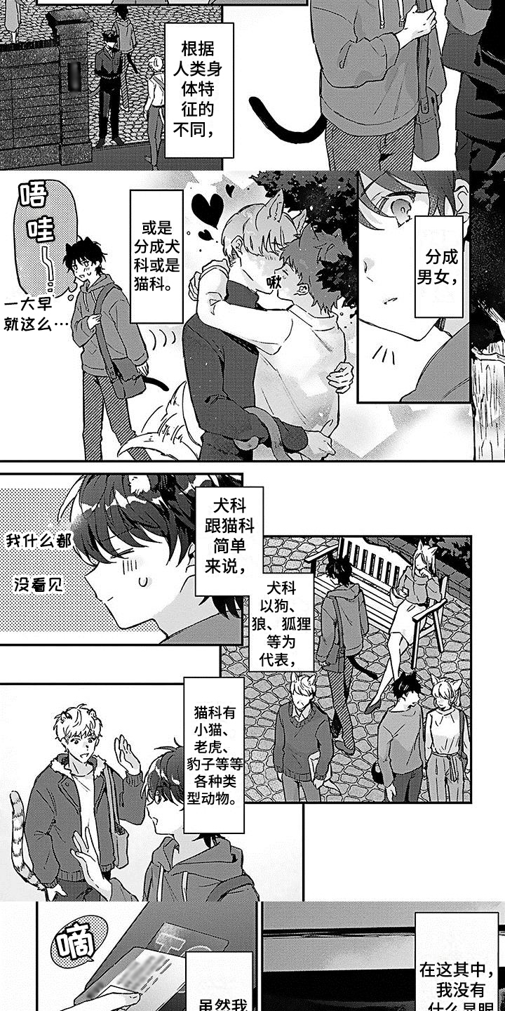 《猫会梦见王子吗》漫画最新章节第1章：应聘免费下拉式在线观看章节第【5】张图片