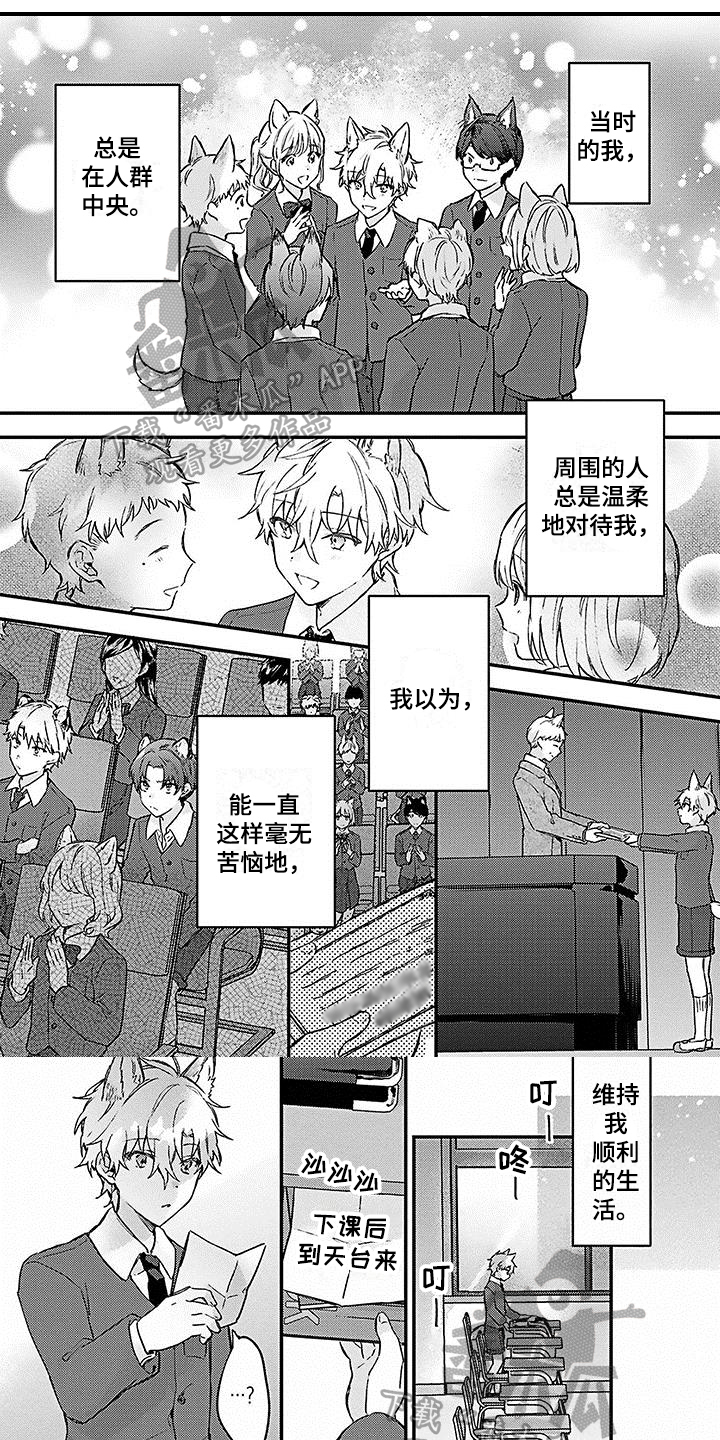 《猫会梦见王子吗》漫画最新章节第13章：想法免费下拉式在线观看章节第【6】张图片