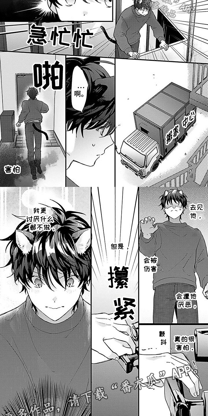 《猫会梦见王子吗》漫画最新章节第18章：担忧免费下拉式在线观看章节第【2】张图片