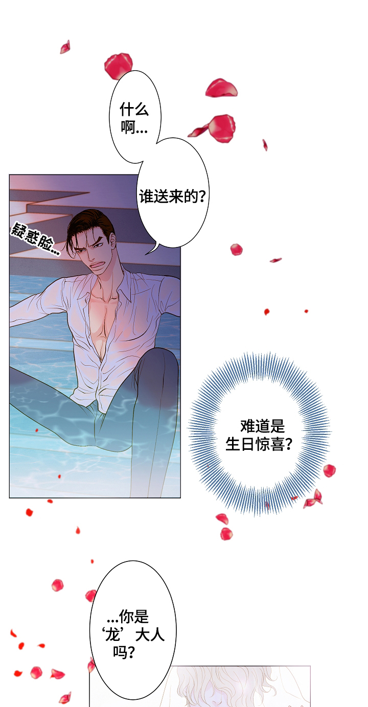 《王子的使命》漫画最新章节第1章：天降王子免费下拉式在线观看章节第【5】张图片