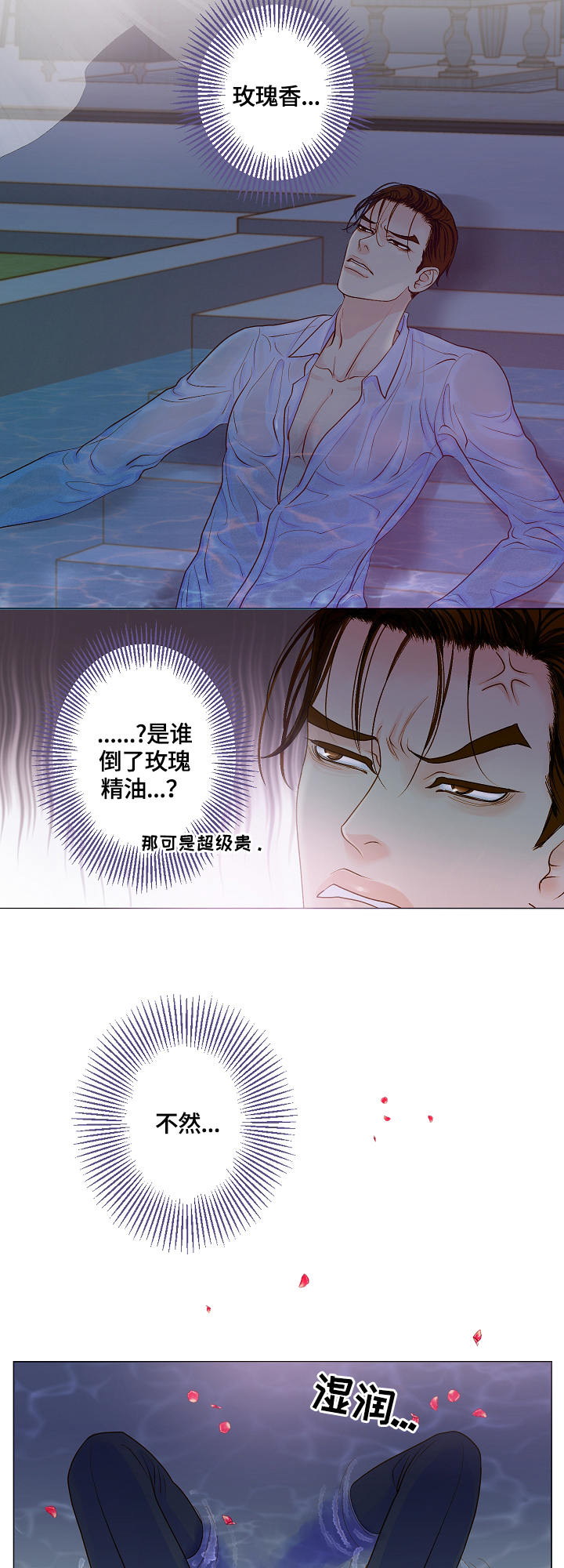 《王子的使命》漫画最新章节第1章：天降王子免费下拉式在线观看章节第【8】张图片