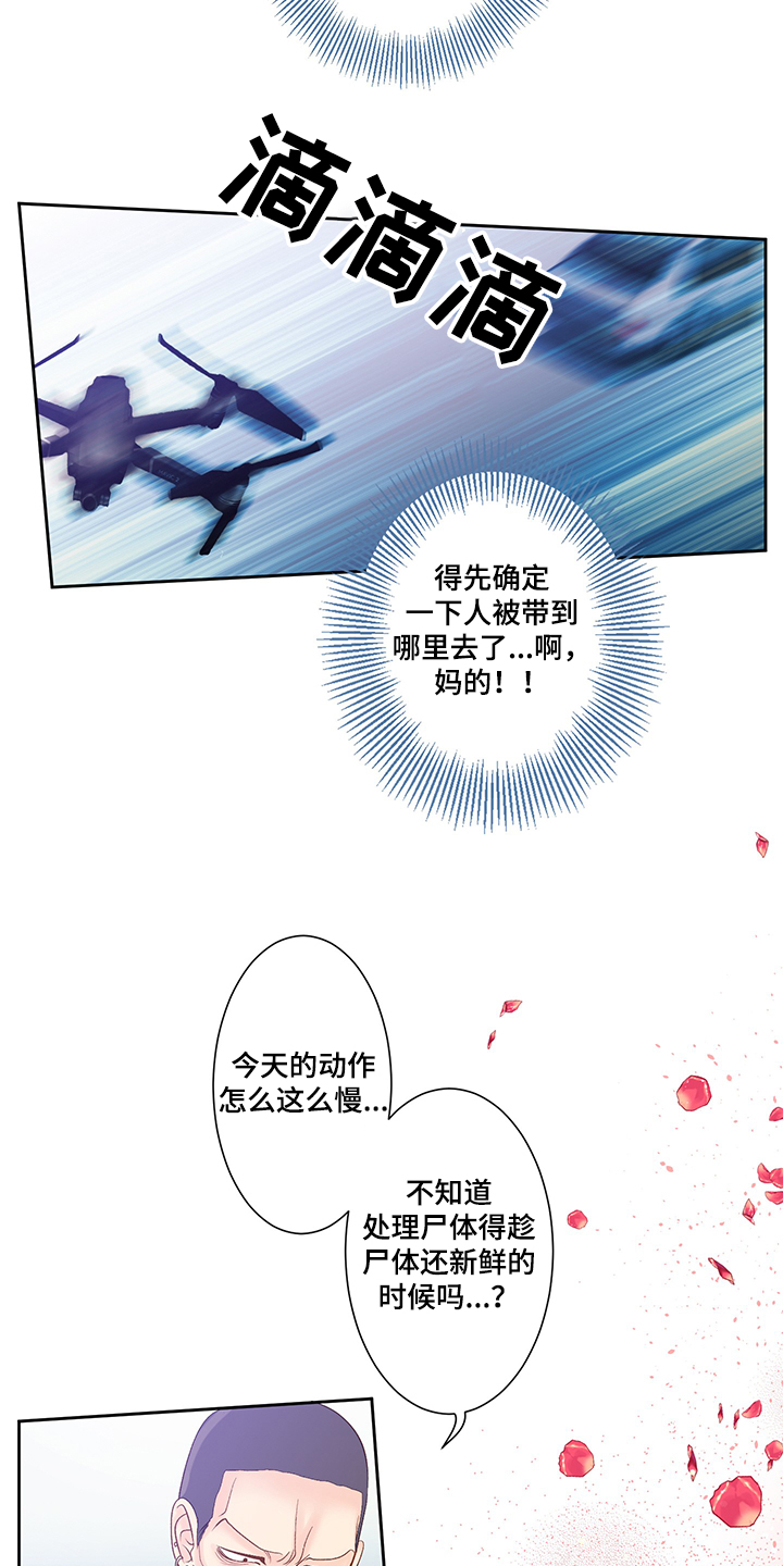 《王子的使命》漫画最新章节第65章：黑社会免费下拉式在线观看章节第【5】张图片