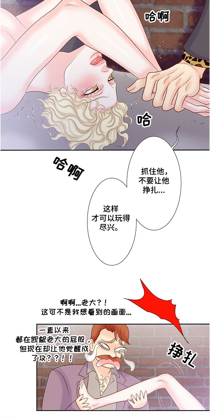 《王子的使命》漫画最新章节第66章：到底发生了什么免费下拉式在线观看章节第【4】张图片