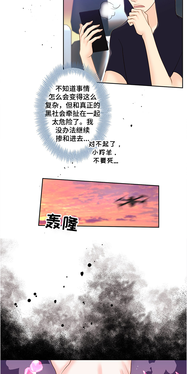 《王子的使命》漫画最新章节第66章：到底发生了什么免费下拉式在线观看章节第【14】张图片