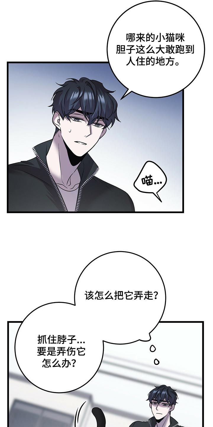 《黑洞怪物》漫画最新章节第29章：聪明的猫咪免费下拉式在线观看章节第【21】张图片