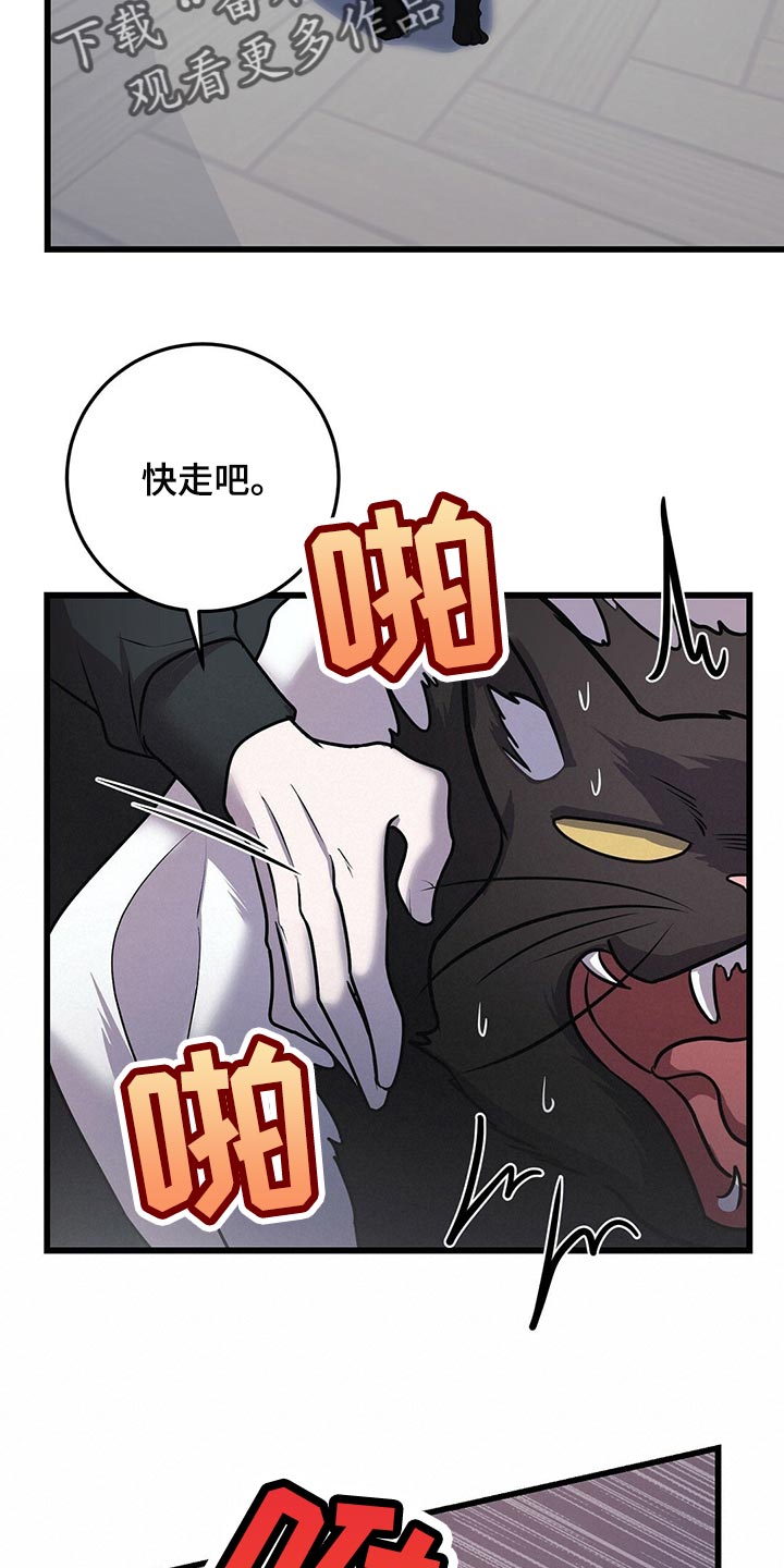 《黑洞怪物》漫画最新章节第29章：聪明的猫咪免费下拉式在线观看章节第【17】张图片