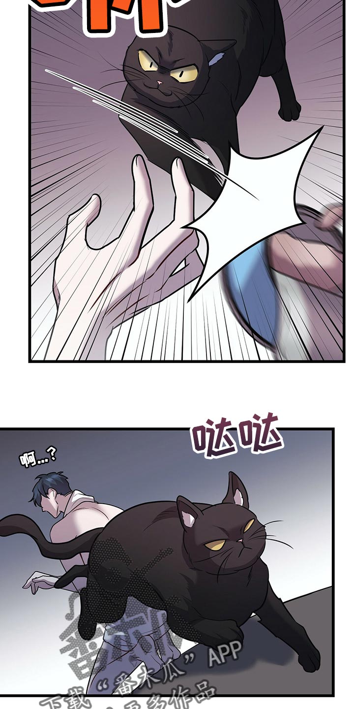 《黑洞怪物》漫画最新章节第29章：聪明的猫咪免费下拉式在线观看章节第【4】张图片