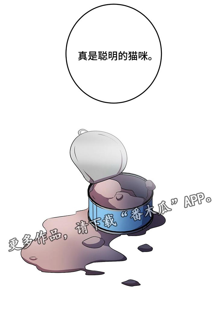 《黑洞怪物》漫画最新章节第29章：聪明的猫咪免费下拉式在线观看章节第【1】张图片