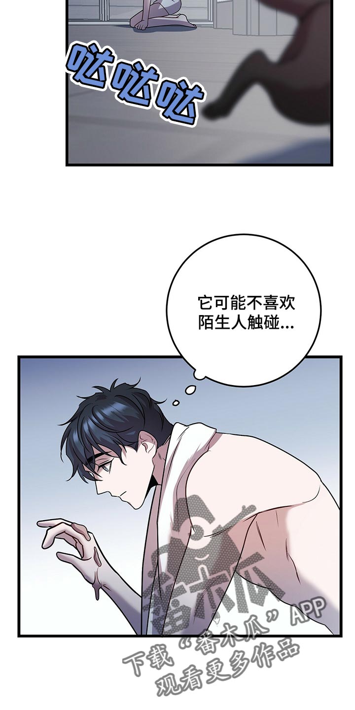 《黑洞怪物》漫画最新章节第29章：聪明的猫咪免费下拉式在线观看章节第【2】张图片