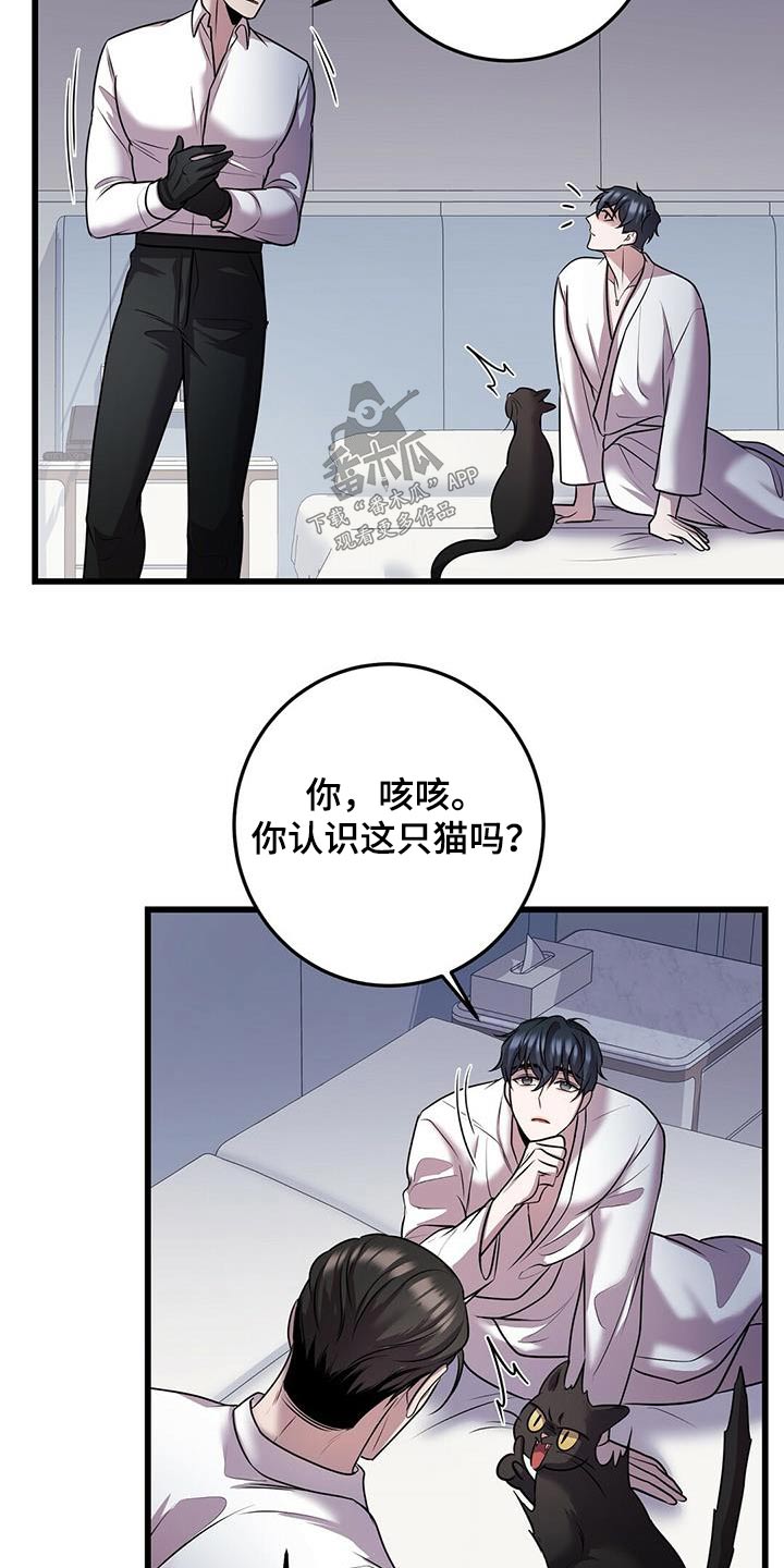 《黑洞怪物》漫画最新章节第58章：行动免费下拉式在线观看章节第【7】张图片