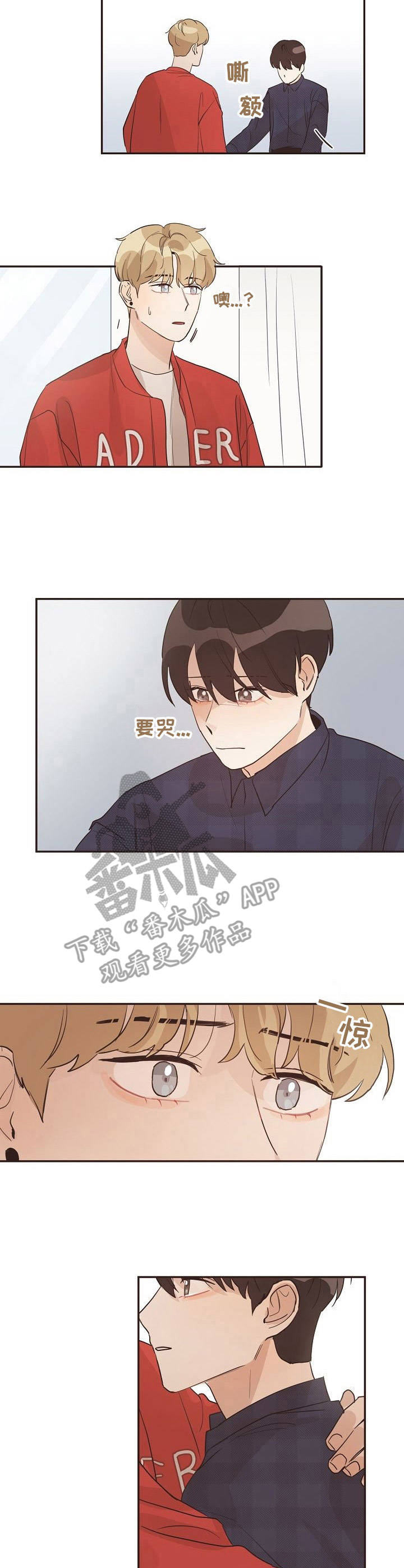 《往日之花》漫画最新章节第28章：底线免费下拉式在线观看章节第【2】张图片