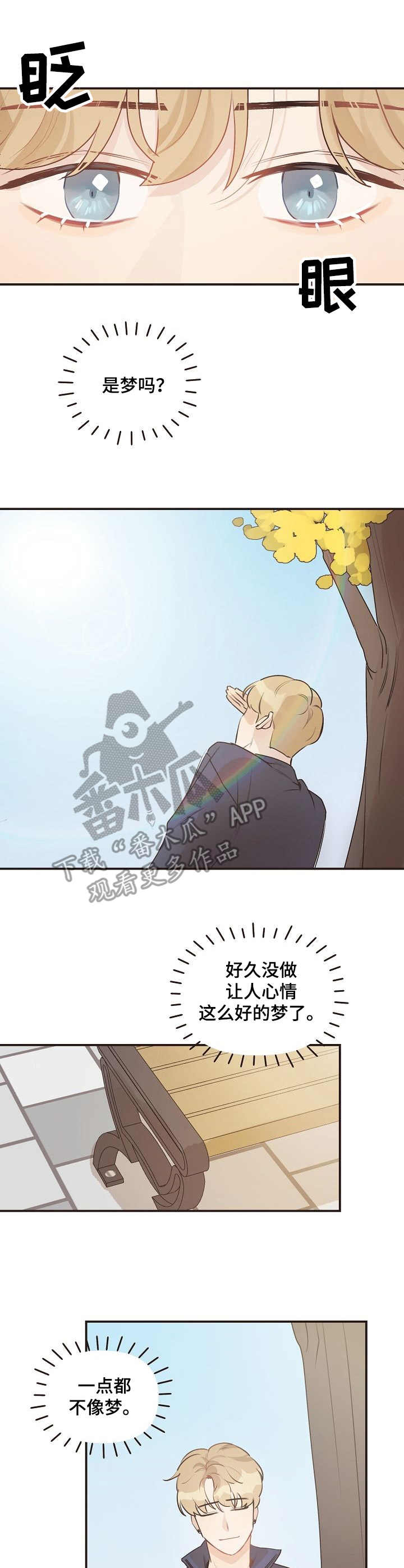 《往日之花》漫画最新章节第41章：迷茫免费下拉式在线观看章节第【5】张图片