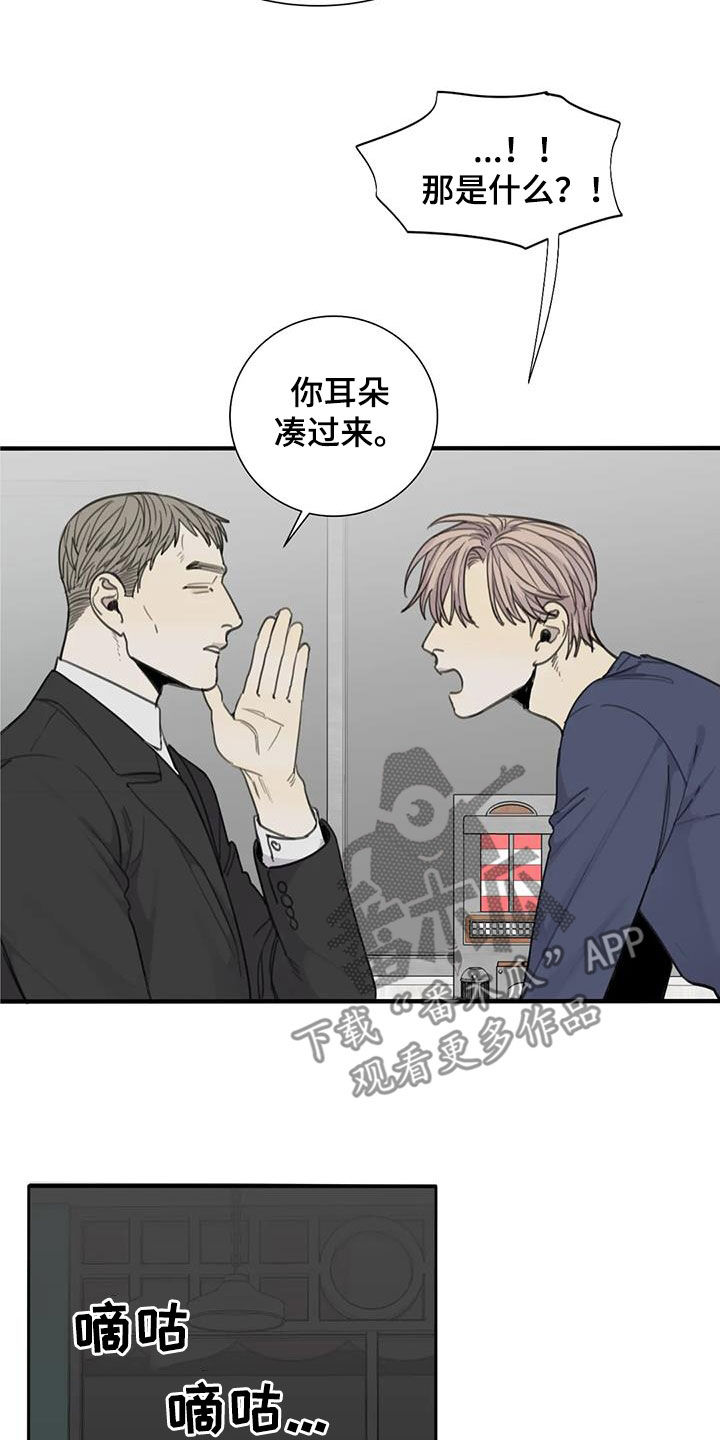 《与疯子共舞》漫画最新章节第67章：【第二季】电话免费下拉式在线观看章节第【12】张图片