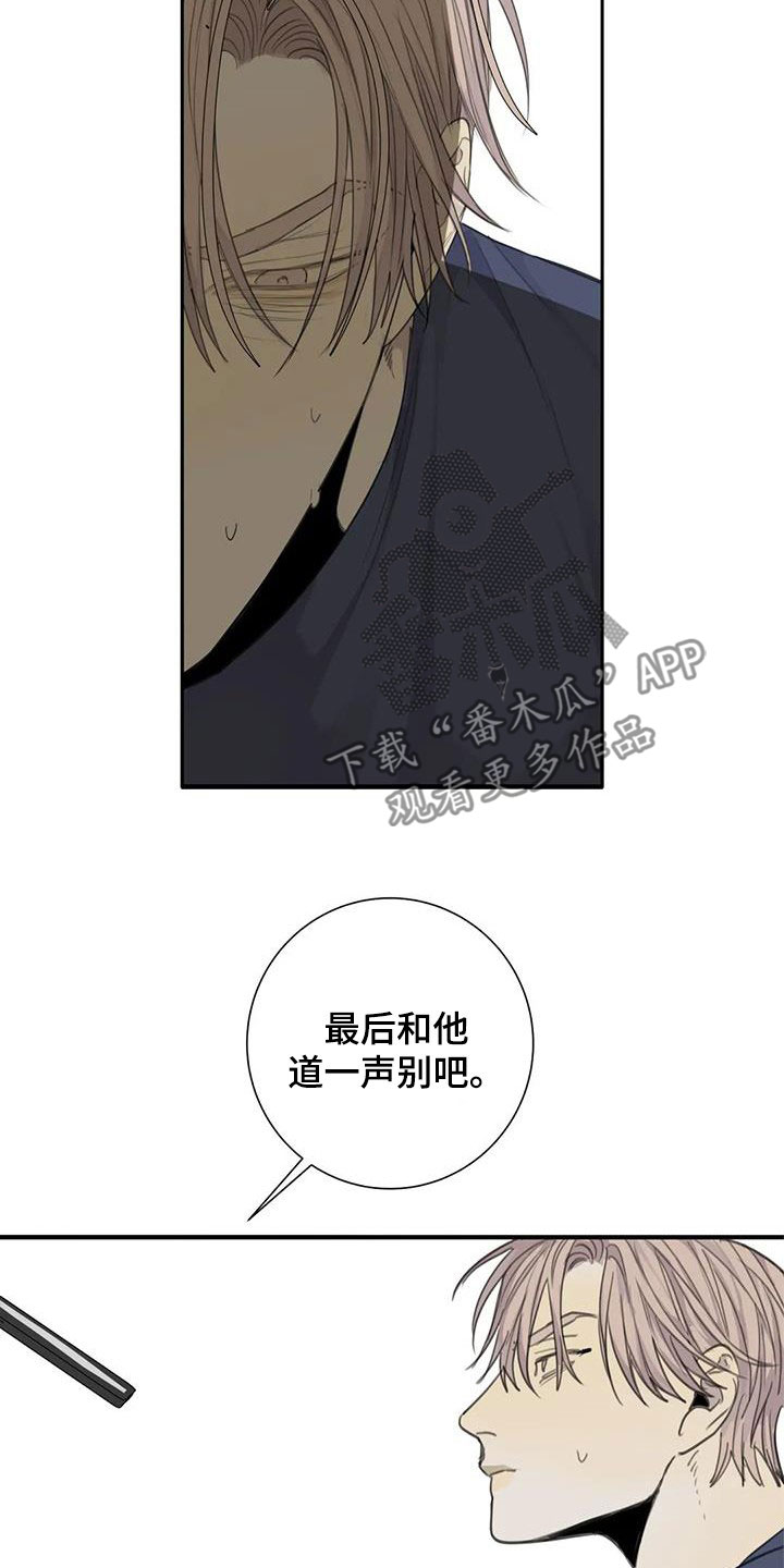 《与疯子共舞》漫画最新章节第71章：【第二季】别干傻事免费下拉式在线观看章节第【7】张图片