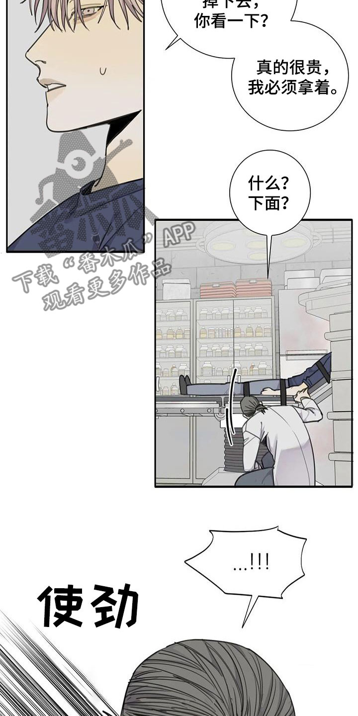 《与疯子共舞》漫画最新章节第73章：【第二季】脱困免费下拉式在线观看章节第【19】张图片