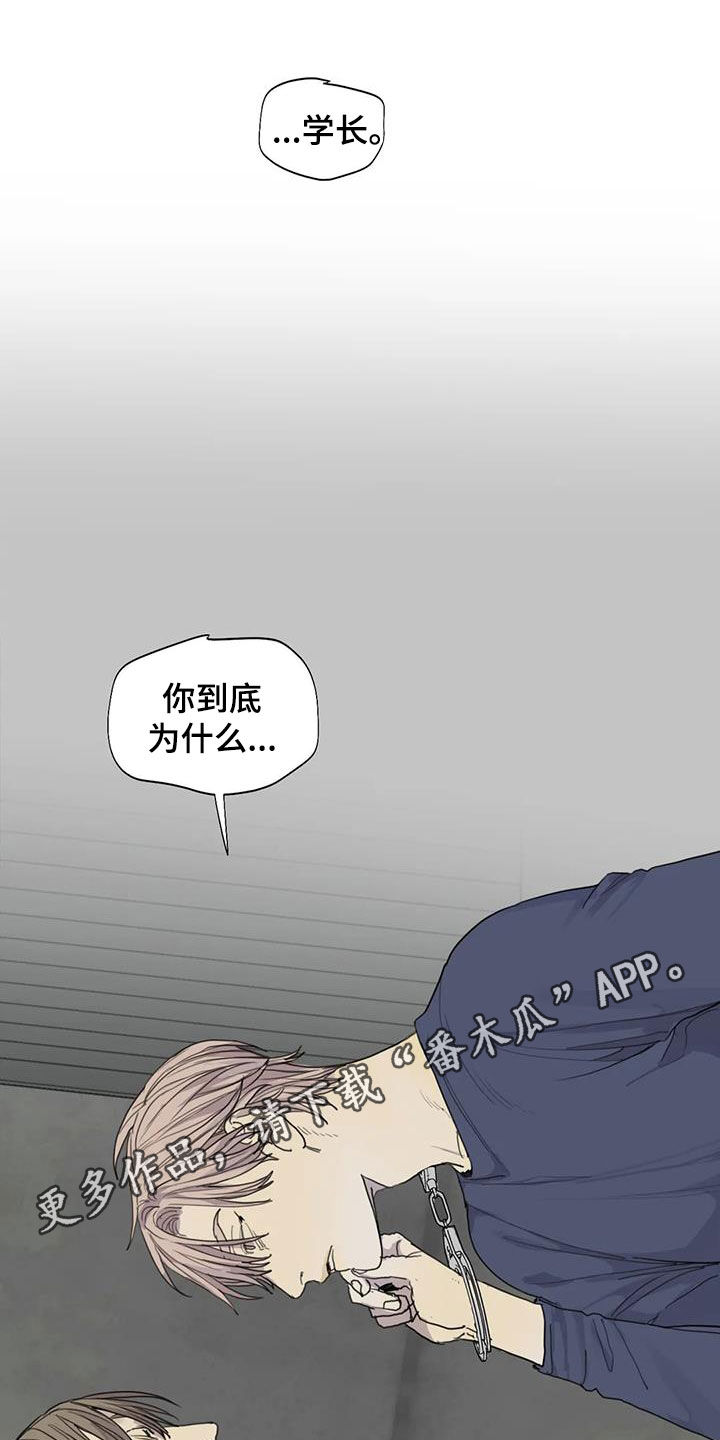 《与疯子共舞》漫画最新章节第84章：【第二季】别想骗我免费下拉式在线观看章节第【29】张图片