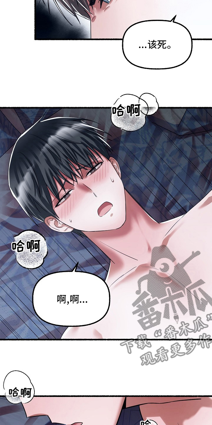 《绽放的花》漫画最新章节第86章：该结束了免费下拉式在线观看章节第【11】张图片