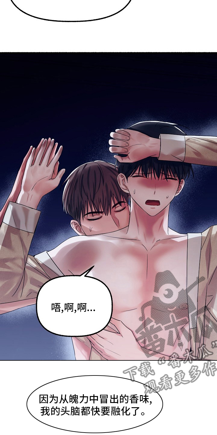 《绽放的花》漫画最新章节第86章：该结束了免费下拉式在线观看章节第【18】张图片