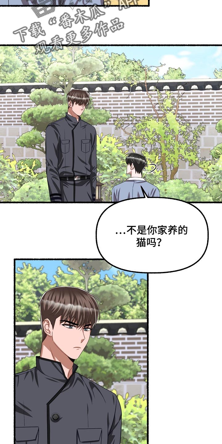 《绽放的花》漫画最新章节第124章：喂猫免费下拉式在线观看章节第【4】张图片