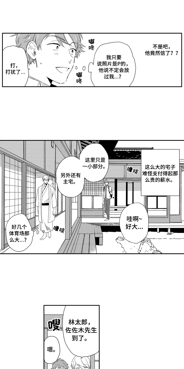 《熊猫生活》漫画最新章节第1章：高薪工作免费下拉式在线观看章节第【4】张图片