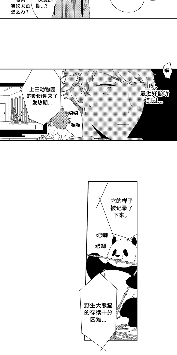 《熊猫生活》漫画最新章节第2章：应聘成功免费下拉式在线观看章节第【7】张图片