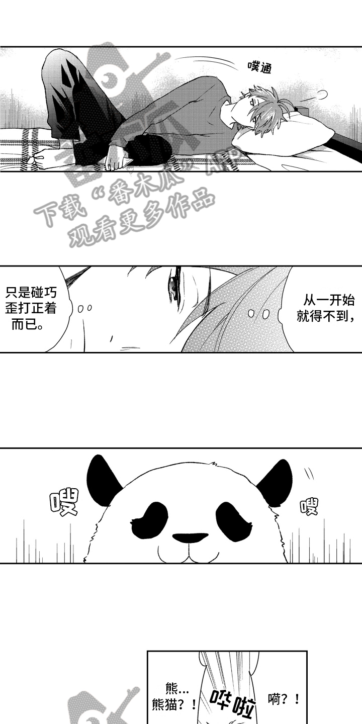 《熊猫生活》漫画最新章节第18章：重要免费下拉式在线观看章节第【13】张图片