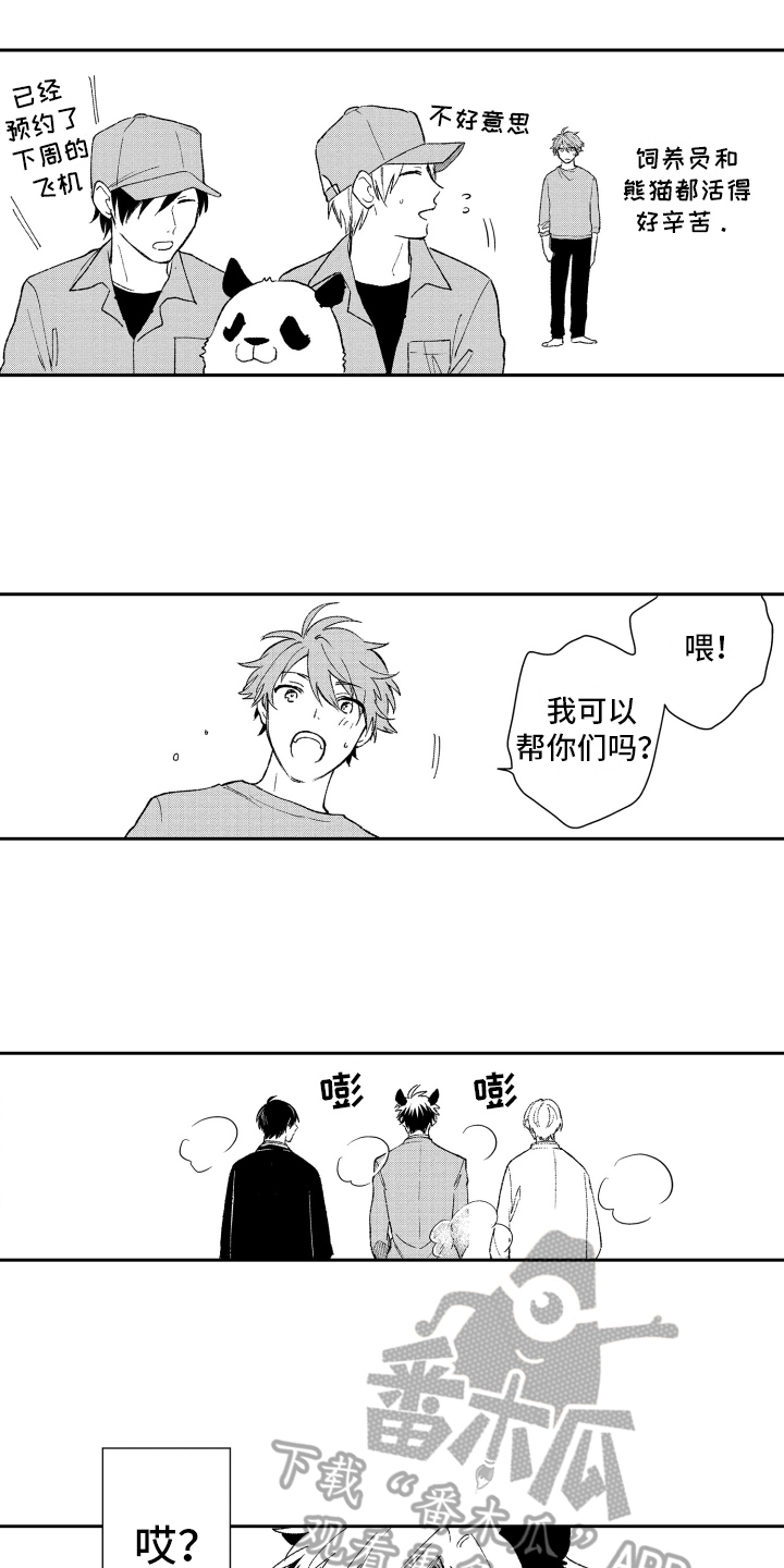 《熊猫生活》漫画最新章节第18章：重要免费下拉式在线观看章节第【10】张图片