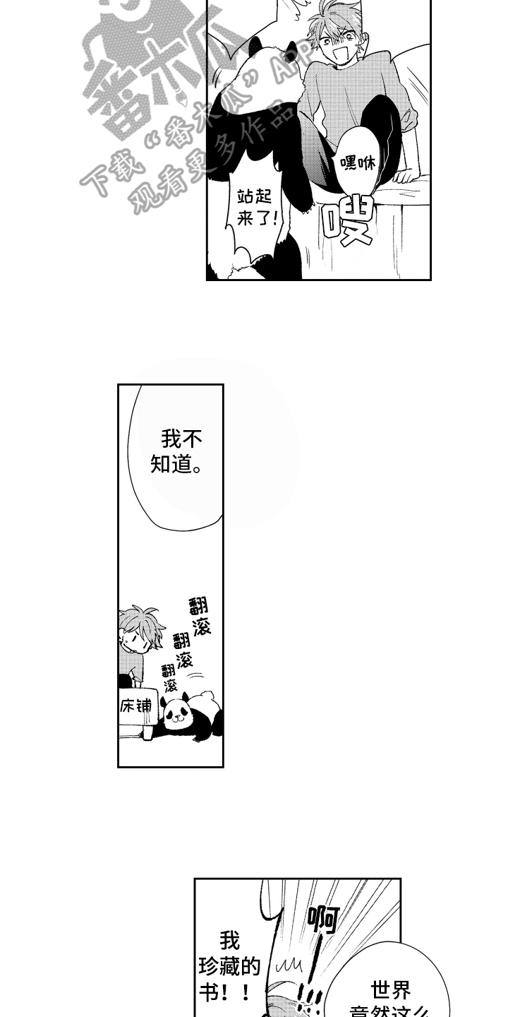 《熊猫生活》漫画最新章节第18章：重要免费下拉式在线观看章节第【12】张图片