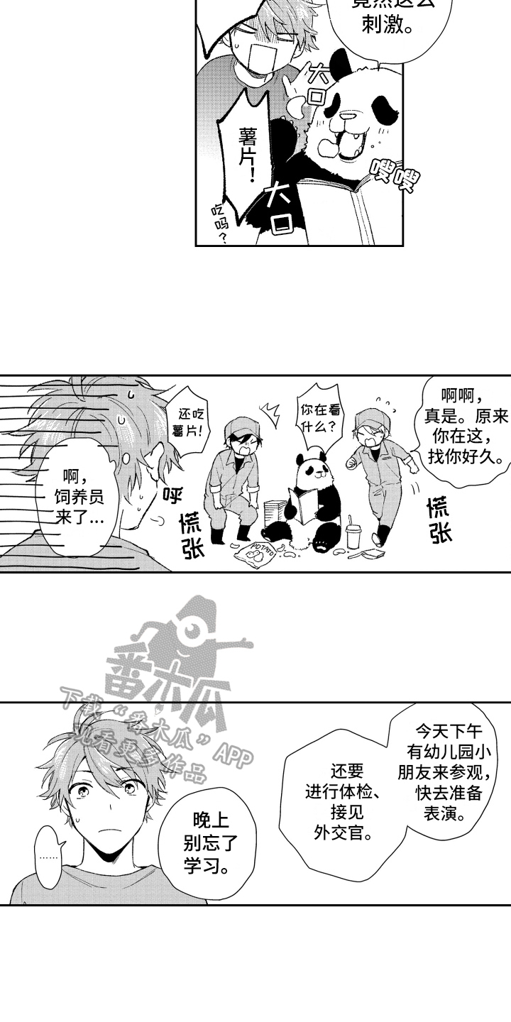 《熊猫生活》漫画最新章节第18章：重要免费下拉式在线观看章节第【11】张图片