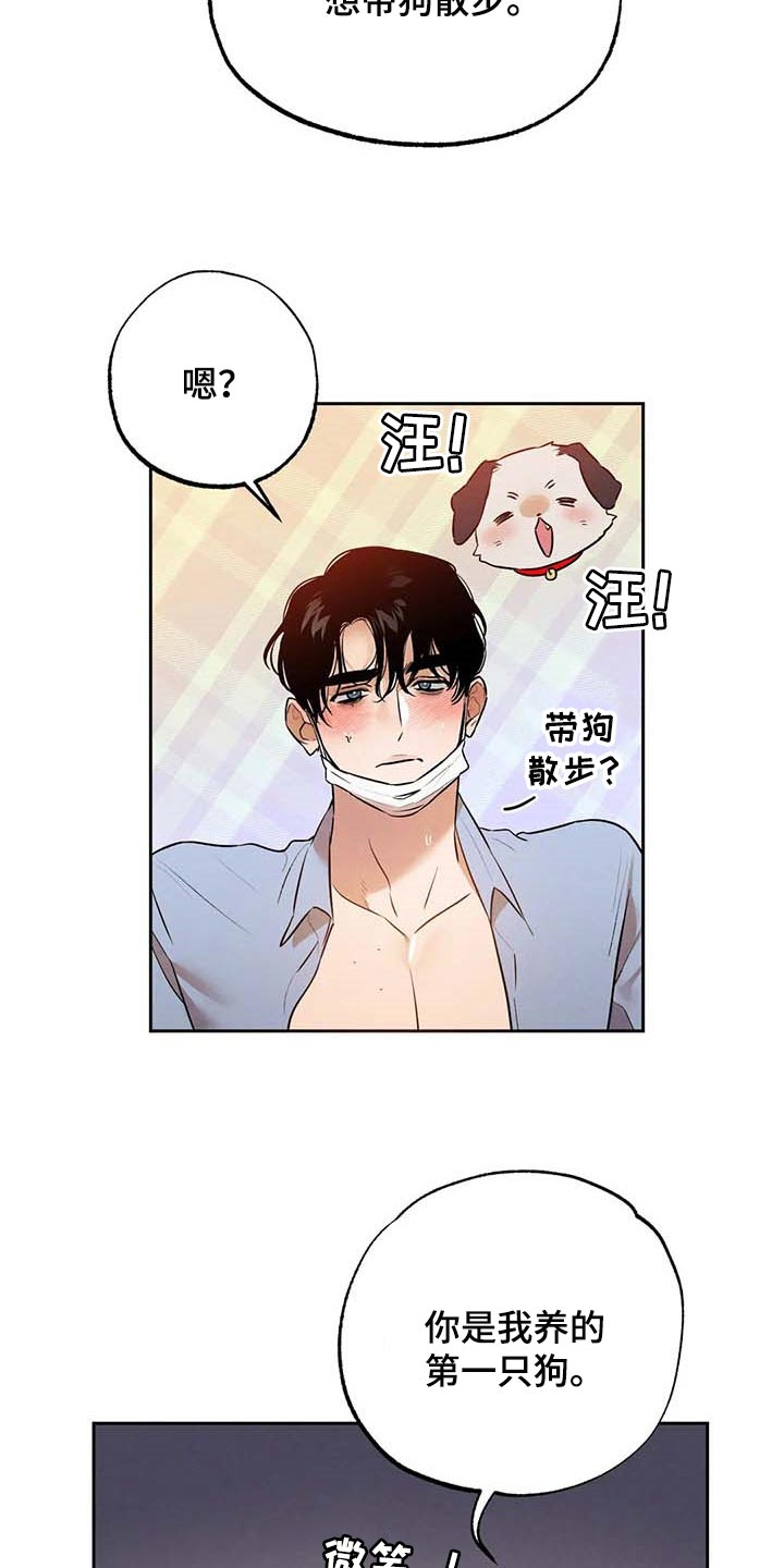 《意外之喜》漫画最新章节第50章：散步免费下拉式在线观看章节第【17】张图片