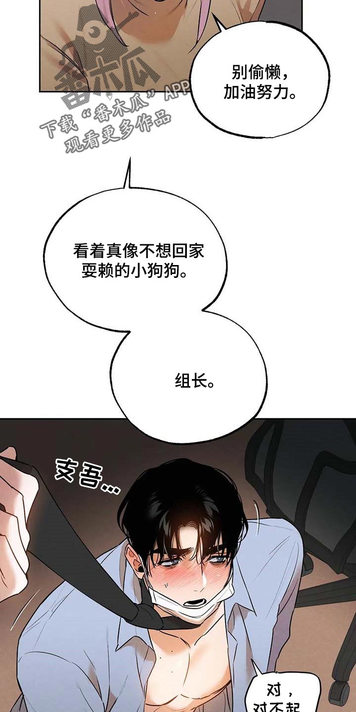 《意外之喜》漫画最新章节第50章：散步免费下拉式在线观看章节第【9】张图片