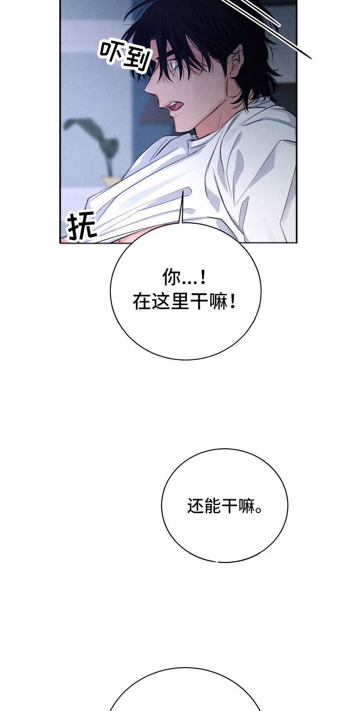 《流星落入掌中》漫画最新章节第2章：贪心免费下拉式在线观看章节第【4】张图片