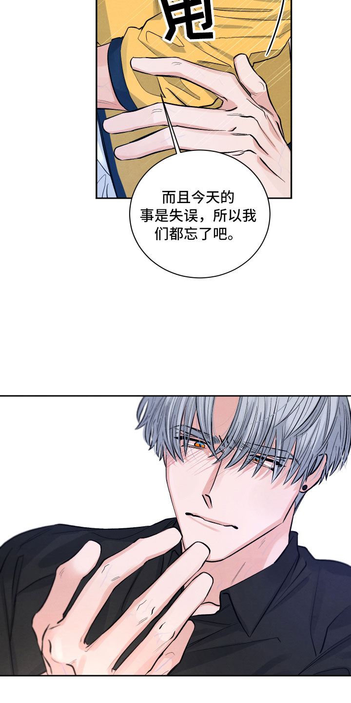 《流星落入掌中》漫画最新章节第4章：先动手的人免费下拉式在线观看章节第【18】张图片