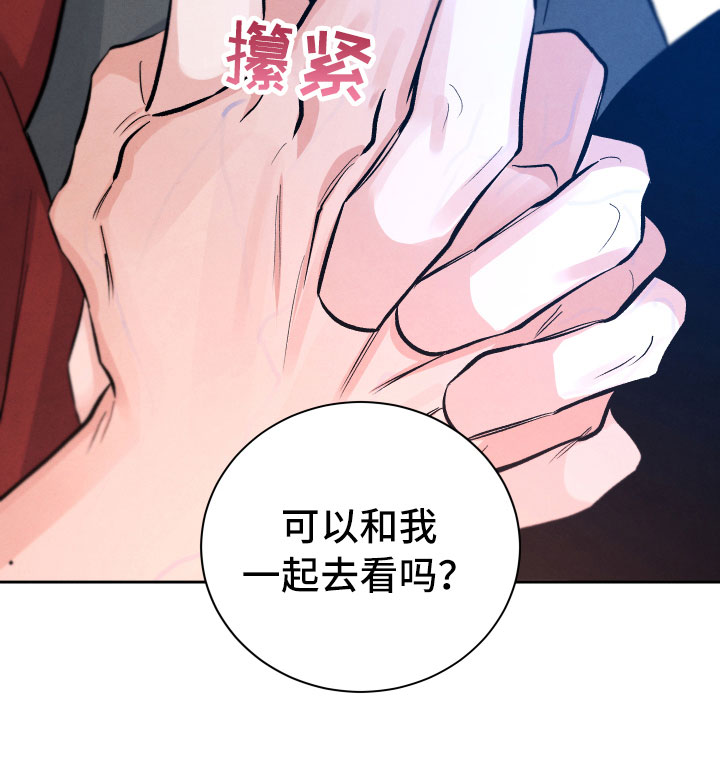 《流星落入掌中》漫画最新章节第8章：不能这样免费下拉式在线观看章节第【13】张图片