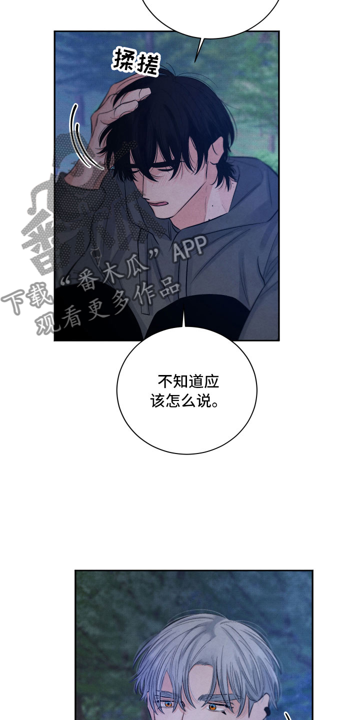 《流星落入掌中》漫画最新章节第10章：星空下免费下拉式在线观看章节第【14】张图片