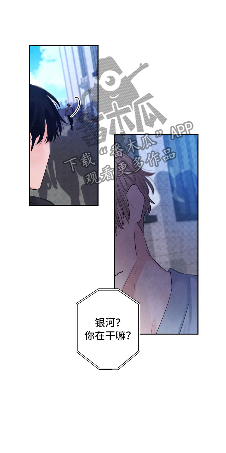 《流星落入掌中》漫画最新章节第20章：擦肩而过免费下拉式在线观看章节第【15】张图片